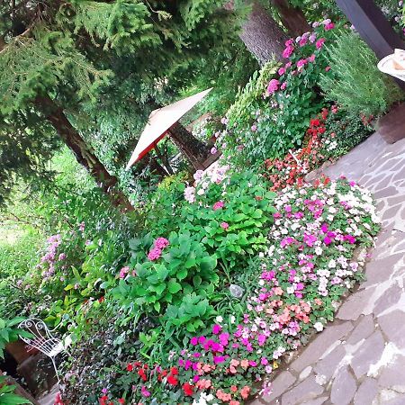 Albergo La Baita Corfino 外观 照片