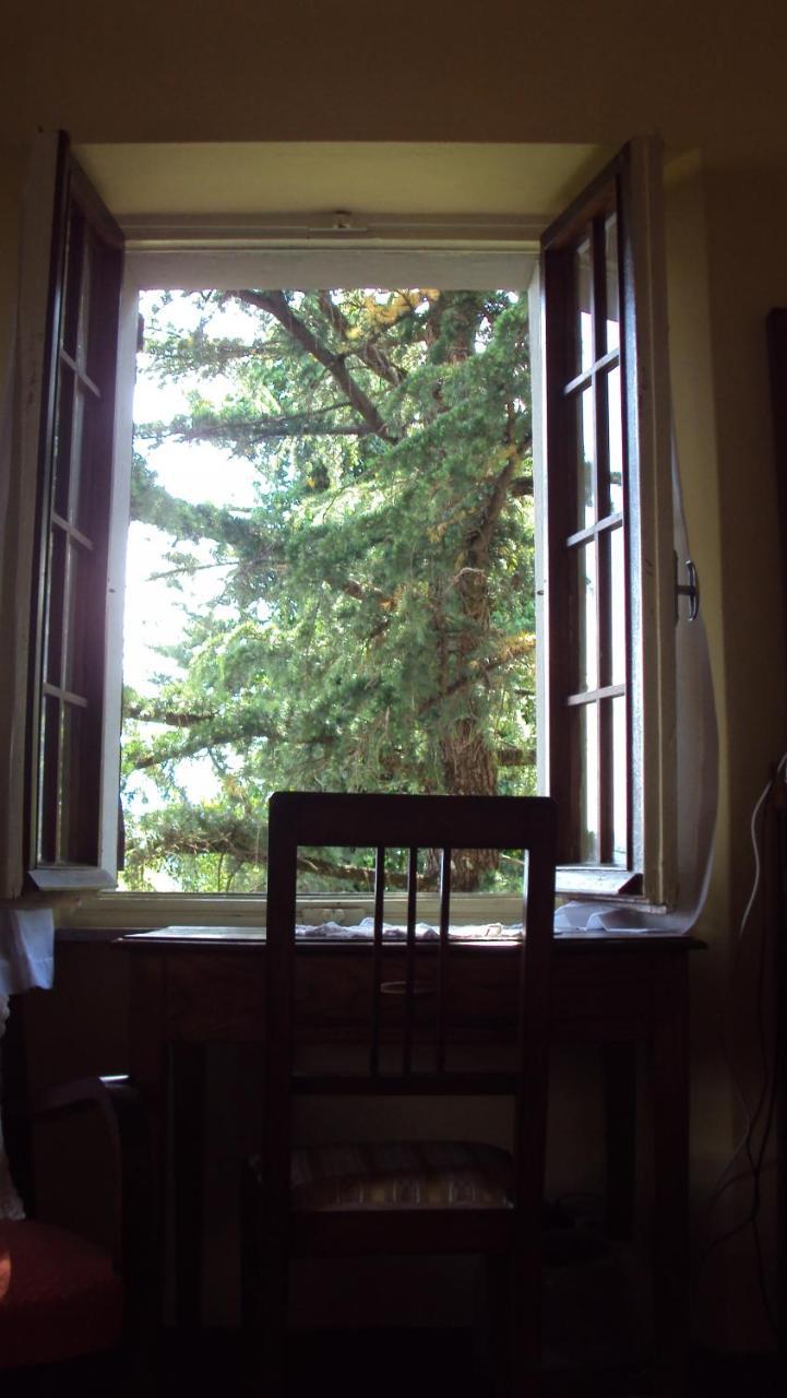 Albergo La Baita Corfino 客房 照片