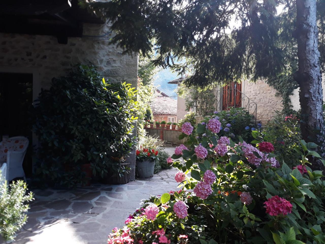Albergo La Baita Corfino 外观 照片